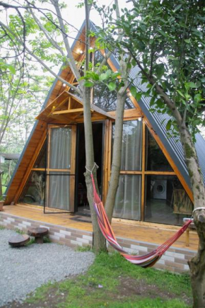 Cottage in Batumi
